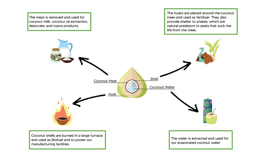Diagram illustrating the water cycle with evaporation, condensation, precipitation, and collection processes.